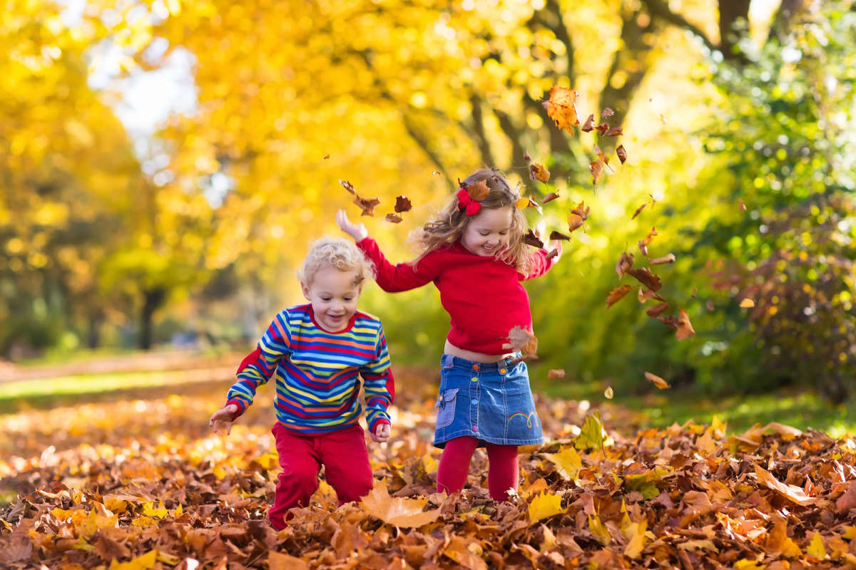 fun-fall-activities-for-the-family-familyeducation